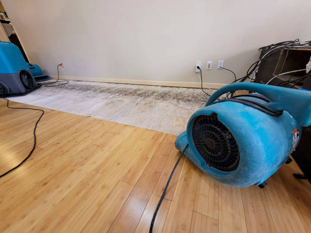 Reliable Basement Flood Cleanup contractor in Mount Vernon, VA by Hirex Water Damage