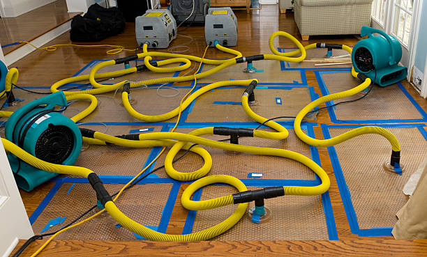 Professional Basement Flood Cleanup technician working in Mount Vernon, VA